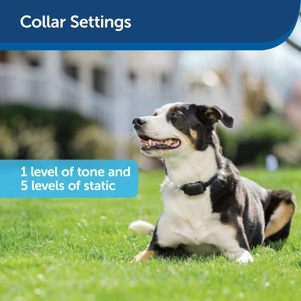 PetSafe YardMax Rechargeable In-Ground Fence Collar - Image 3