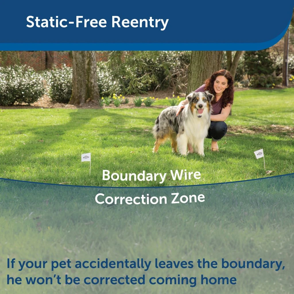 PetSafe YardMax Rechargeable In-Ground Fence Collar - Image 5