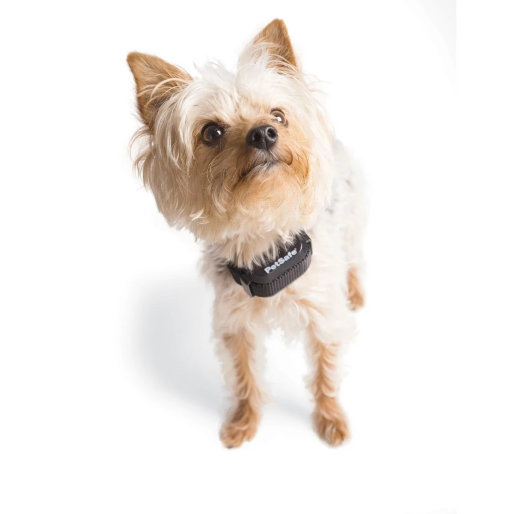 PetSafe YardMax Rechargeable In-Ground Fence Collar - Image 7