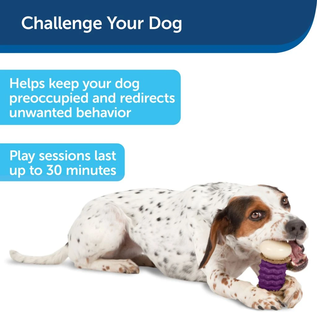 PetSafe Busy Buddy Dental Health Nobbly Nubbly Dog Chew Toy, Large, Size C - Image 4