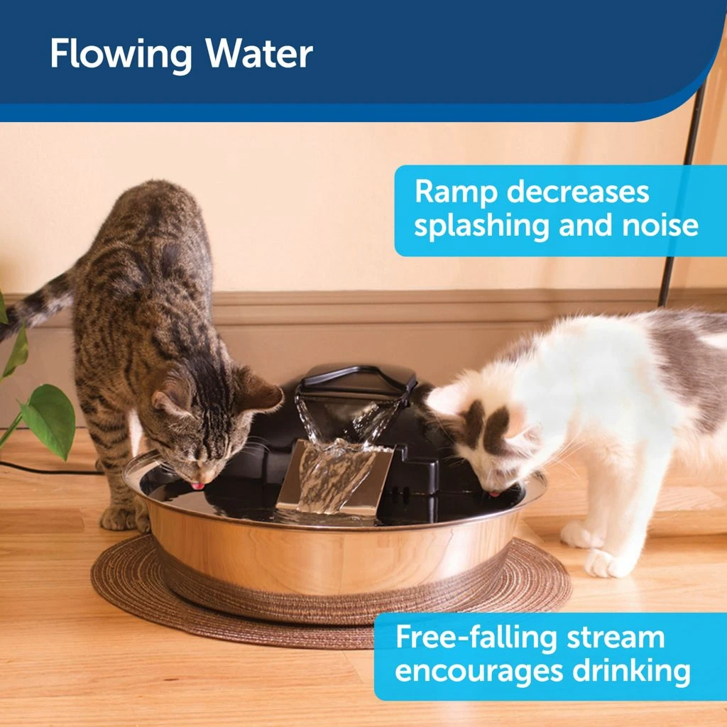 PetSafe Drinkwell Zen Stainless Steel Dog and Cat Water Fountain, 128 oz. - Image 4