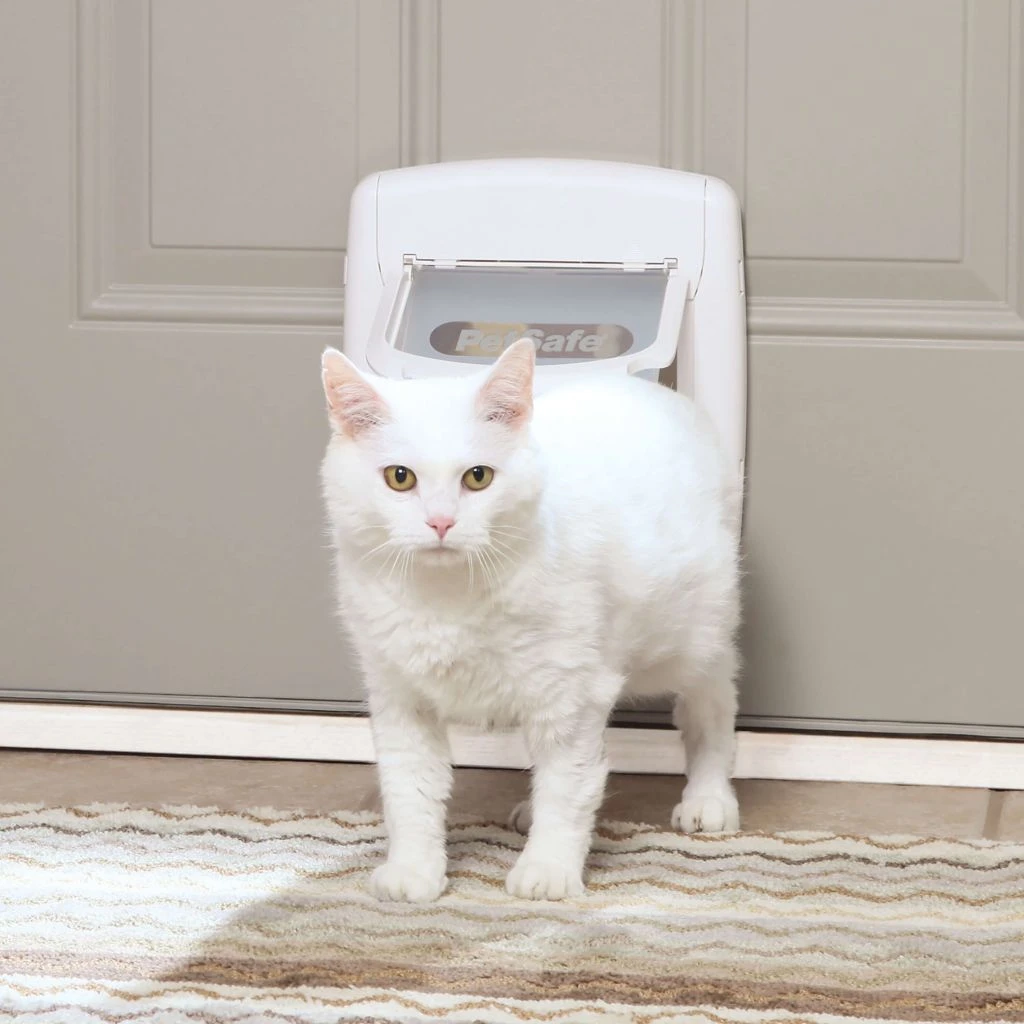 PetSafe 4-Way Locking Cat Door, Interior or Exterior, Fits Doors 1/16 in. to 2-1/8 in. Thick