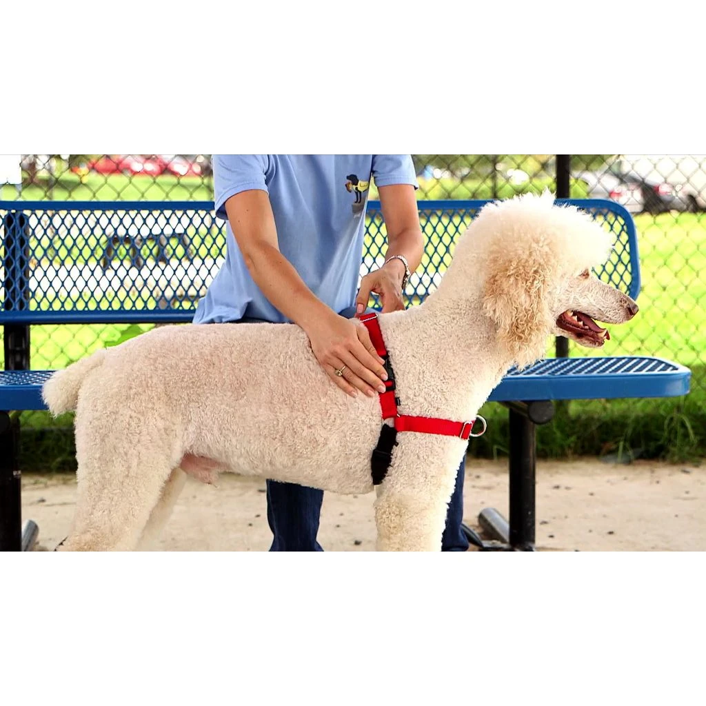 PetSafe Easy Walk Deluxe No-Pull Dog Harness - Image 3