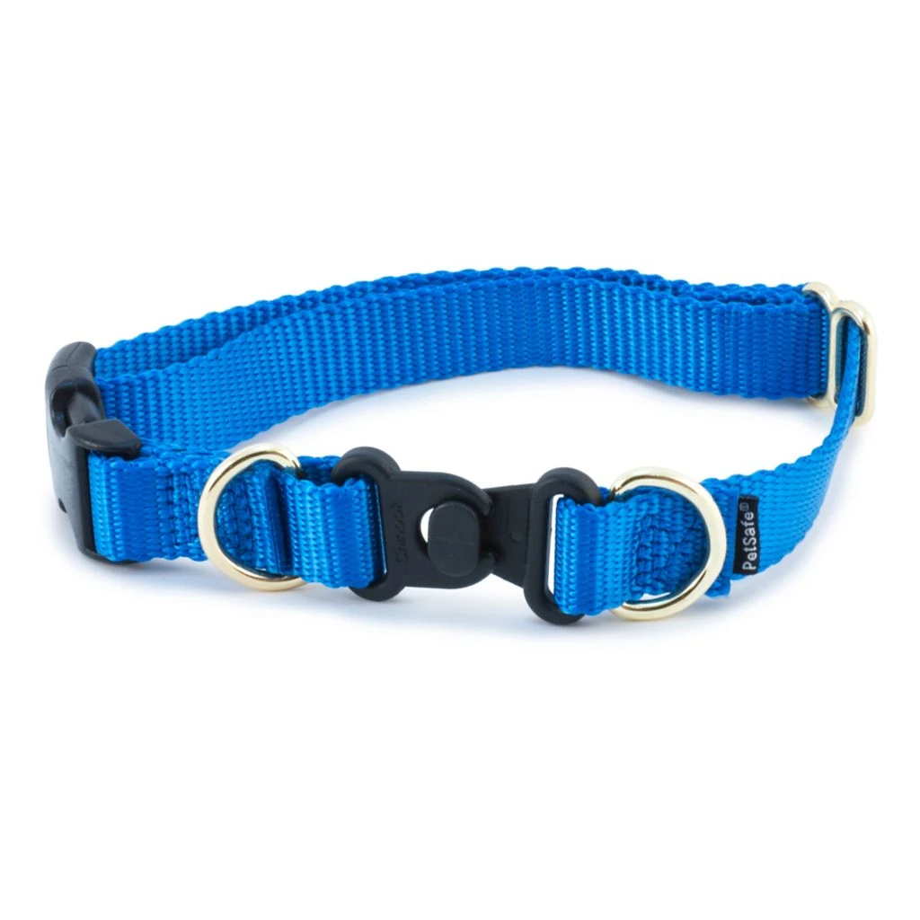 PetSafe KeepSafe Break-Away Safety Dog Collar - Image 2
