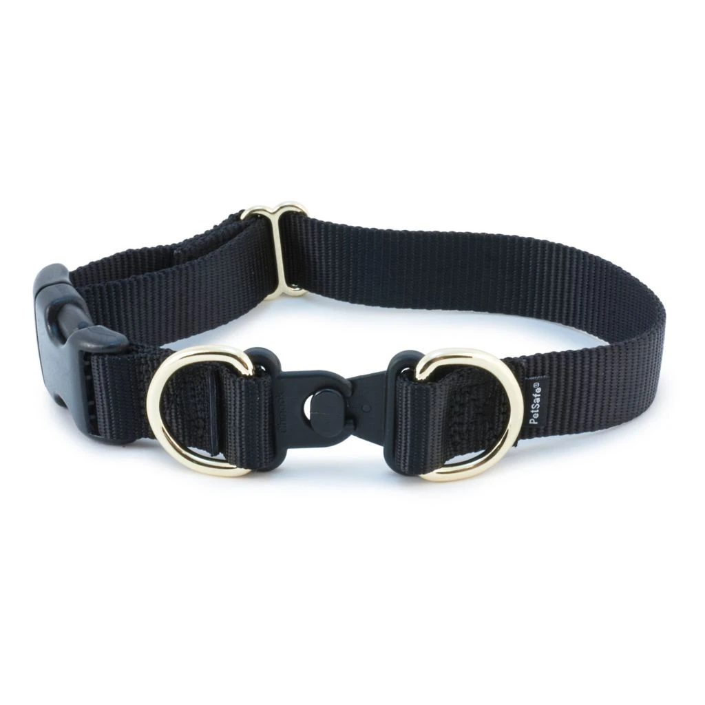PetSafe KeepSafe Break-Away Safety Dog Collar