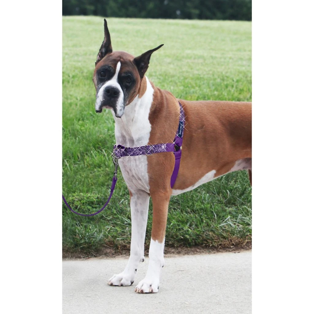 PetSafe Easy Walk No-Pull Dog Harness, Bling Design - Image 4