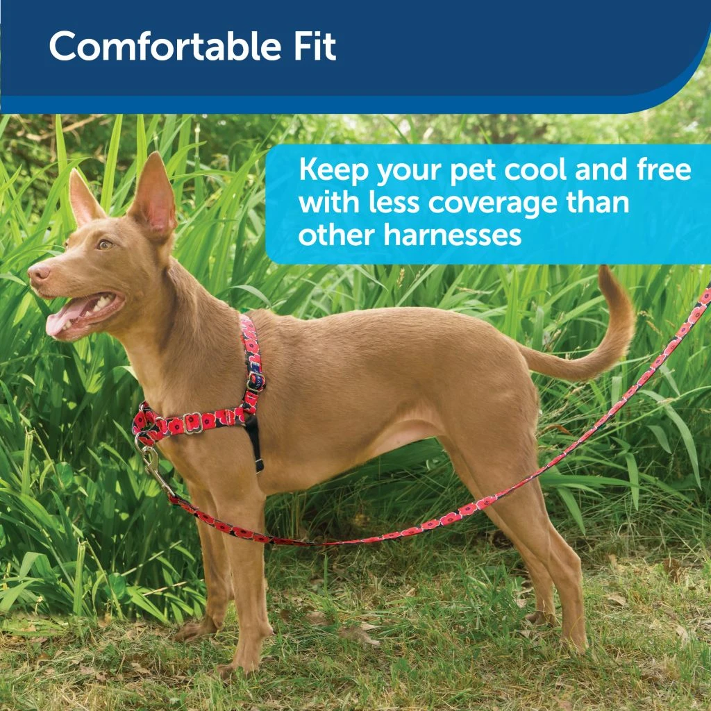 PetSafe Easy Walk Chic Dog Harness Poppies - Image 3