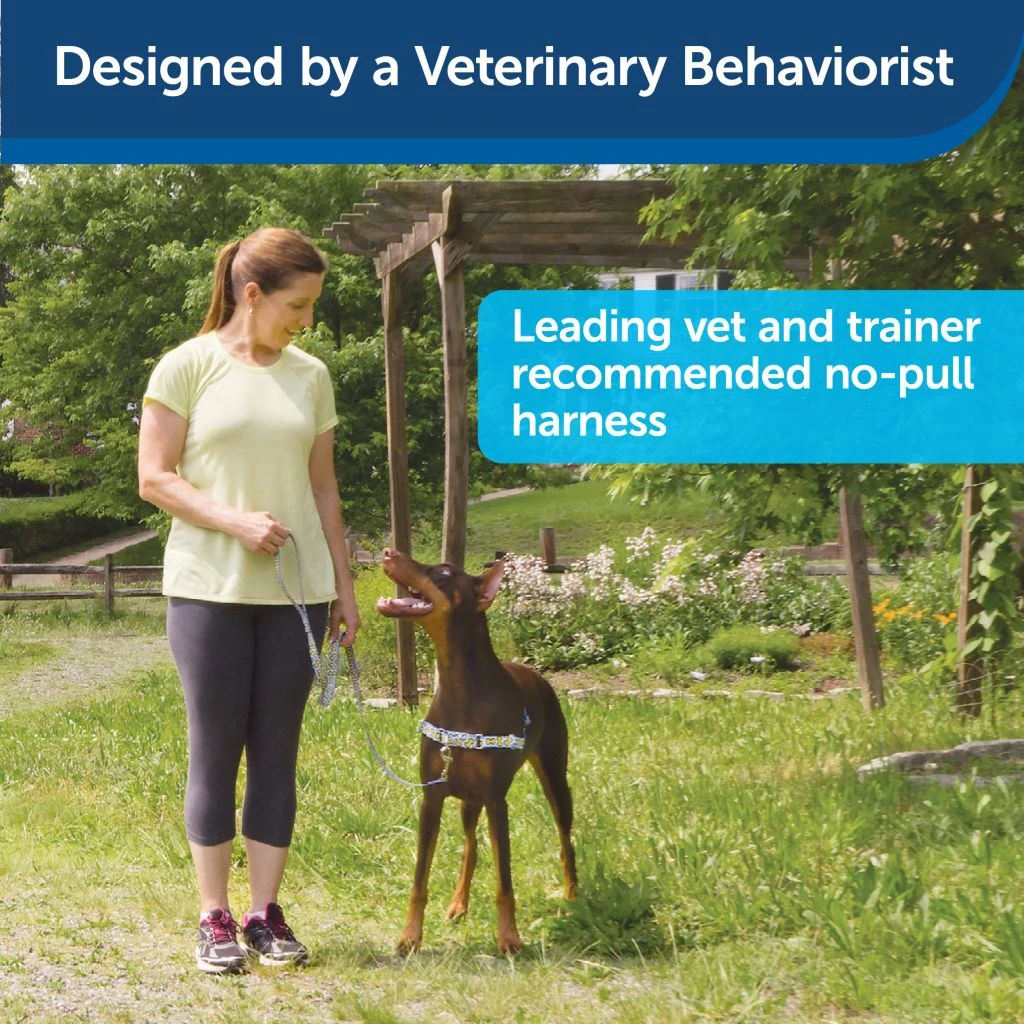 PetSafe Easy Walk Chic Dog Harness Poppies - Image 4