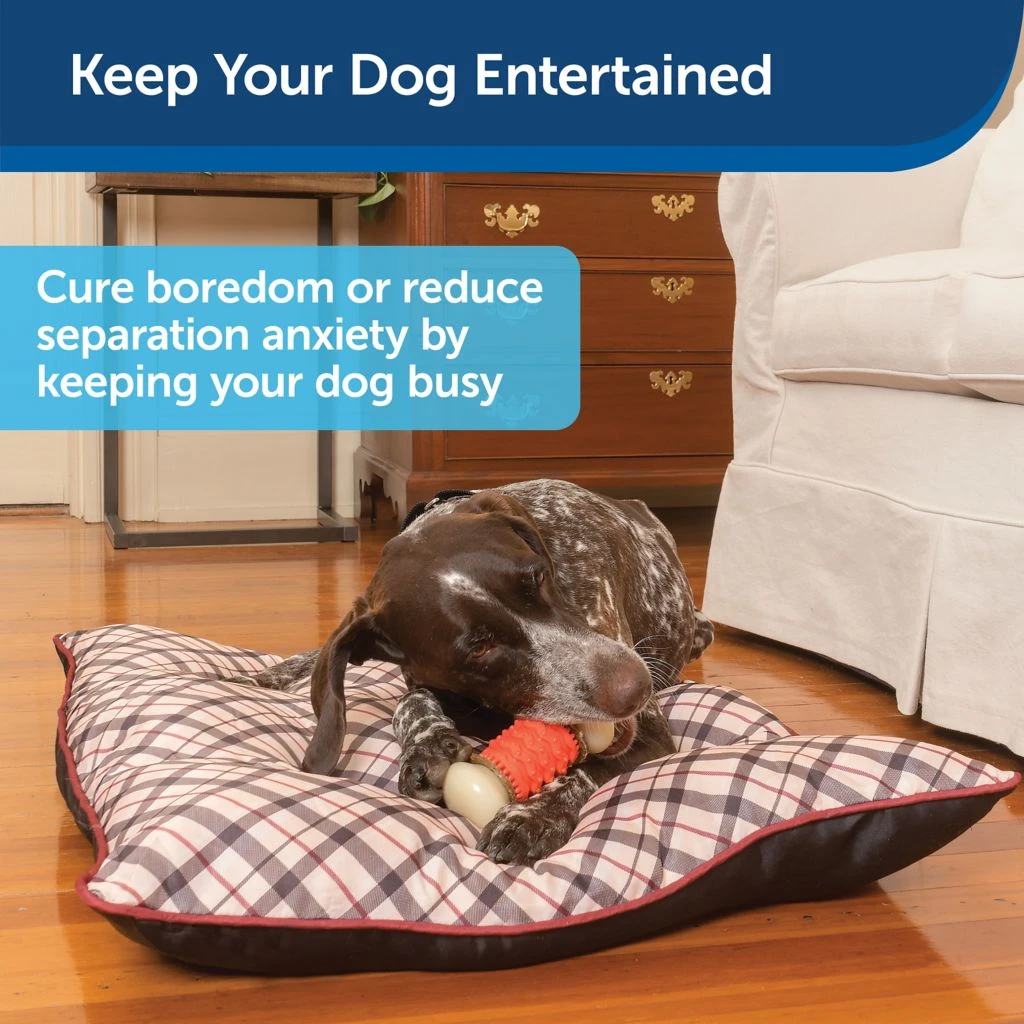 PetSafe Sportsmen Treat Holding Nobbly Nubbly Dog Chew Toy, Medium - Image 2