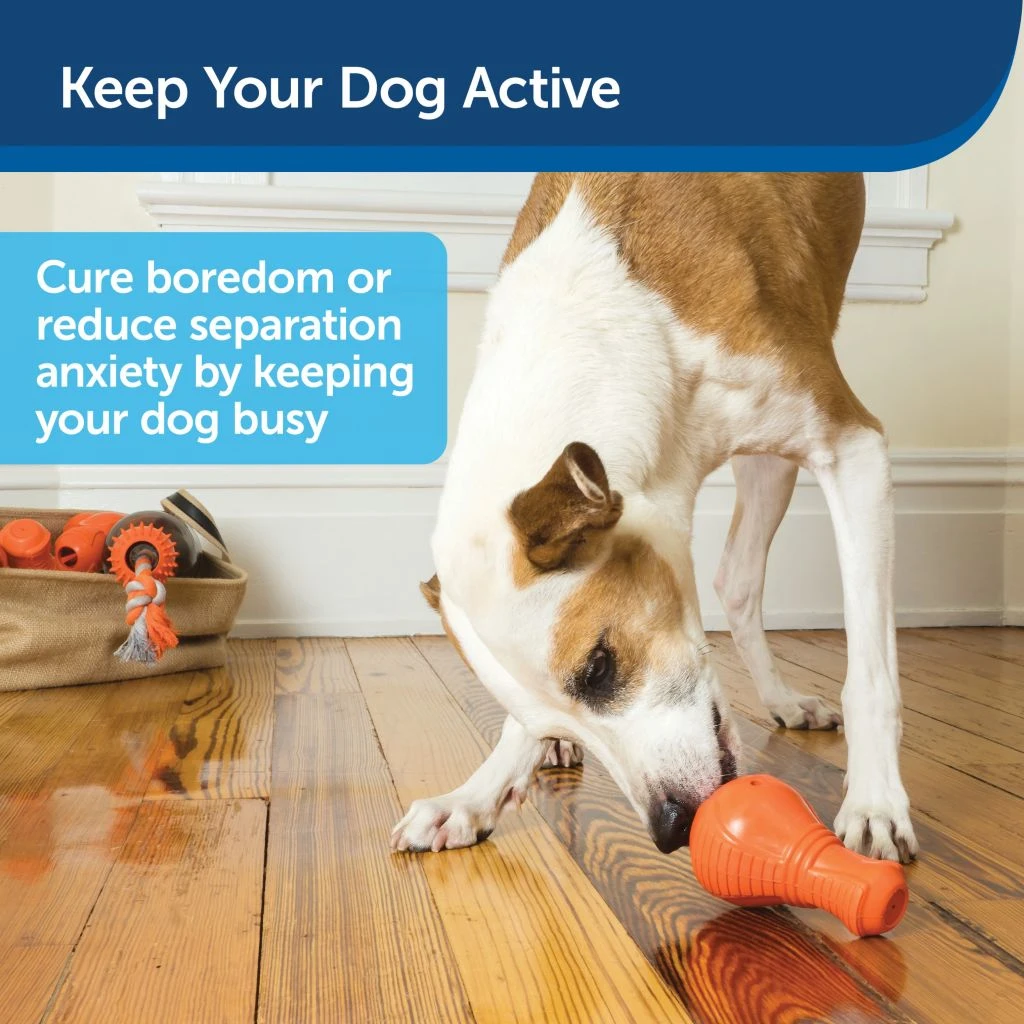 PetSafe Sportsmen Booya Squeak 'N Treat Dog Chew Toy, Medium - Image 2