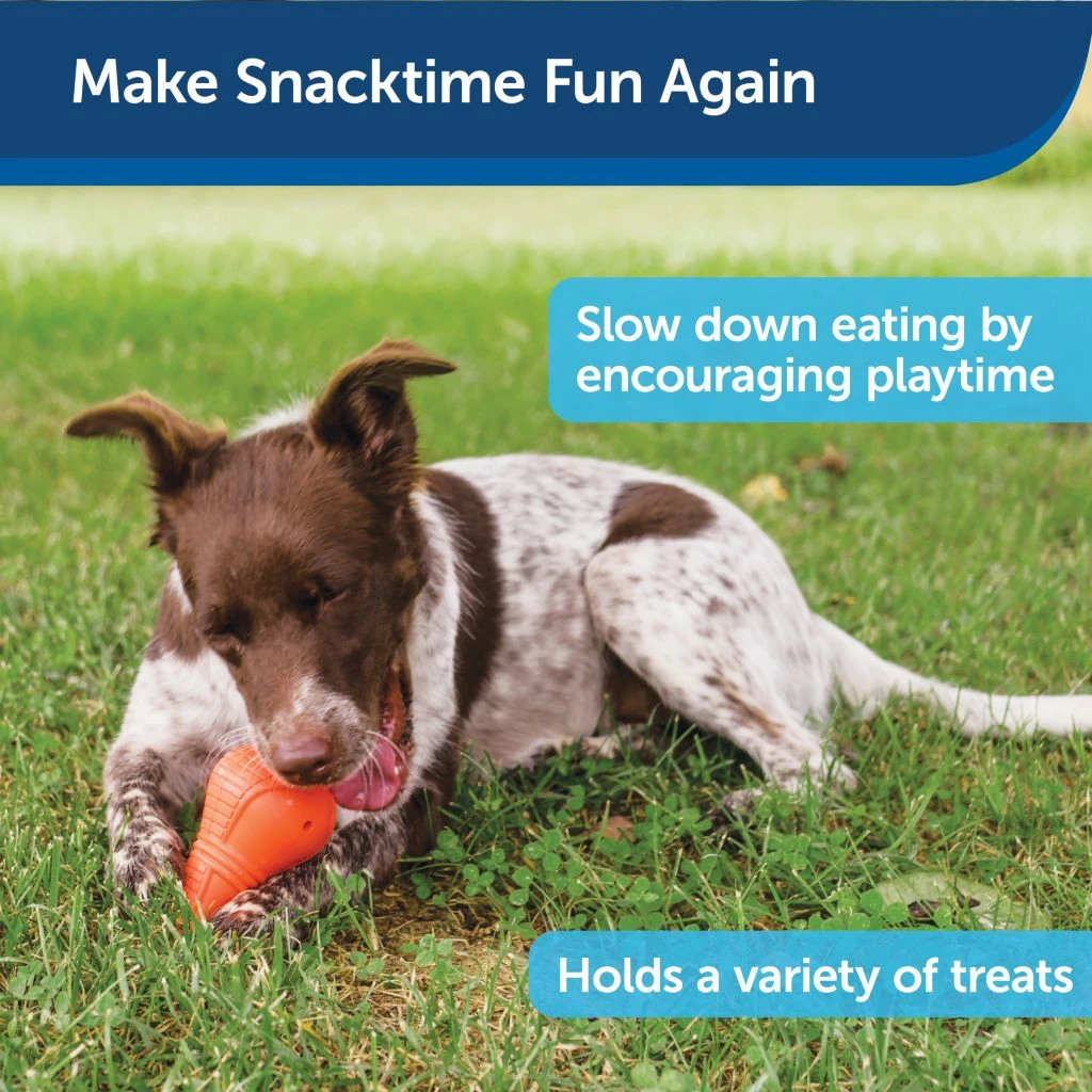 PetSafe Sportsmen Booya Squeak 'N Treat Dog Chew Toy, Medium - Image 4