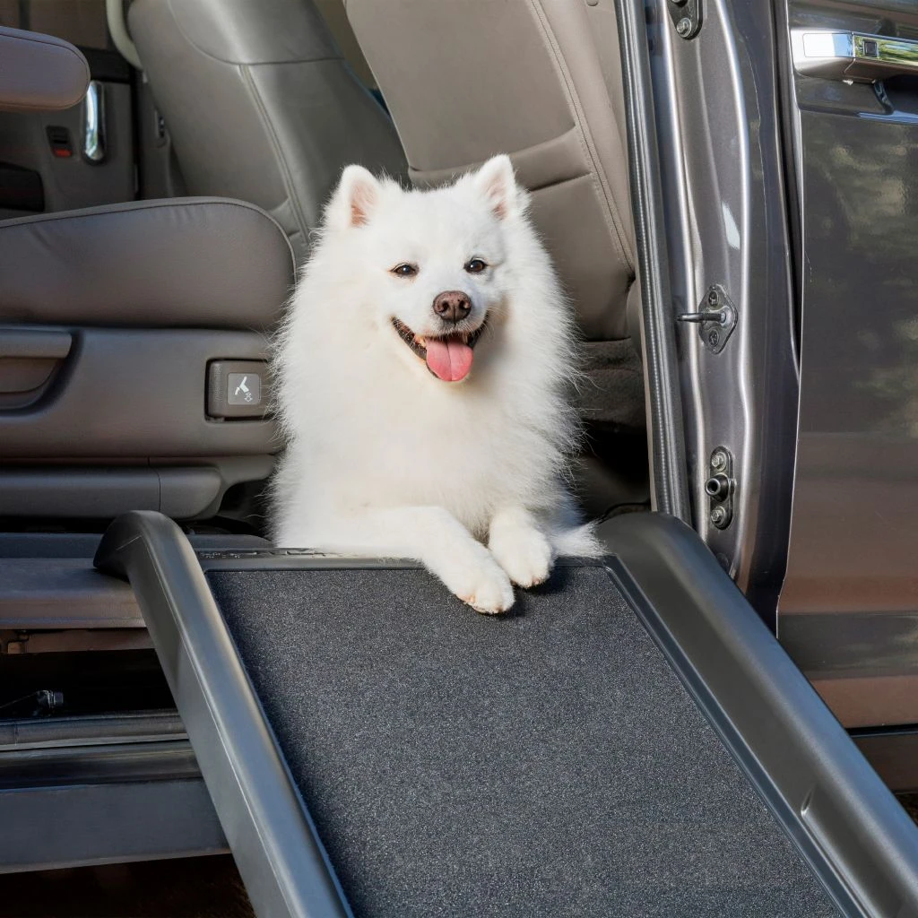 PetSafe Happy Ride Mini Dog Ramp