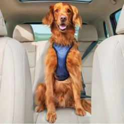 PetSafe Happy Ride Safety Harness, Large