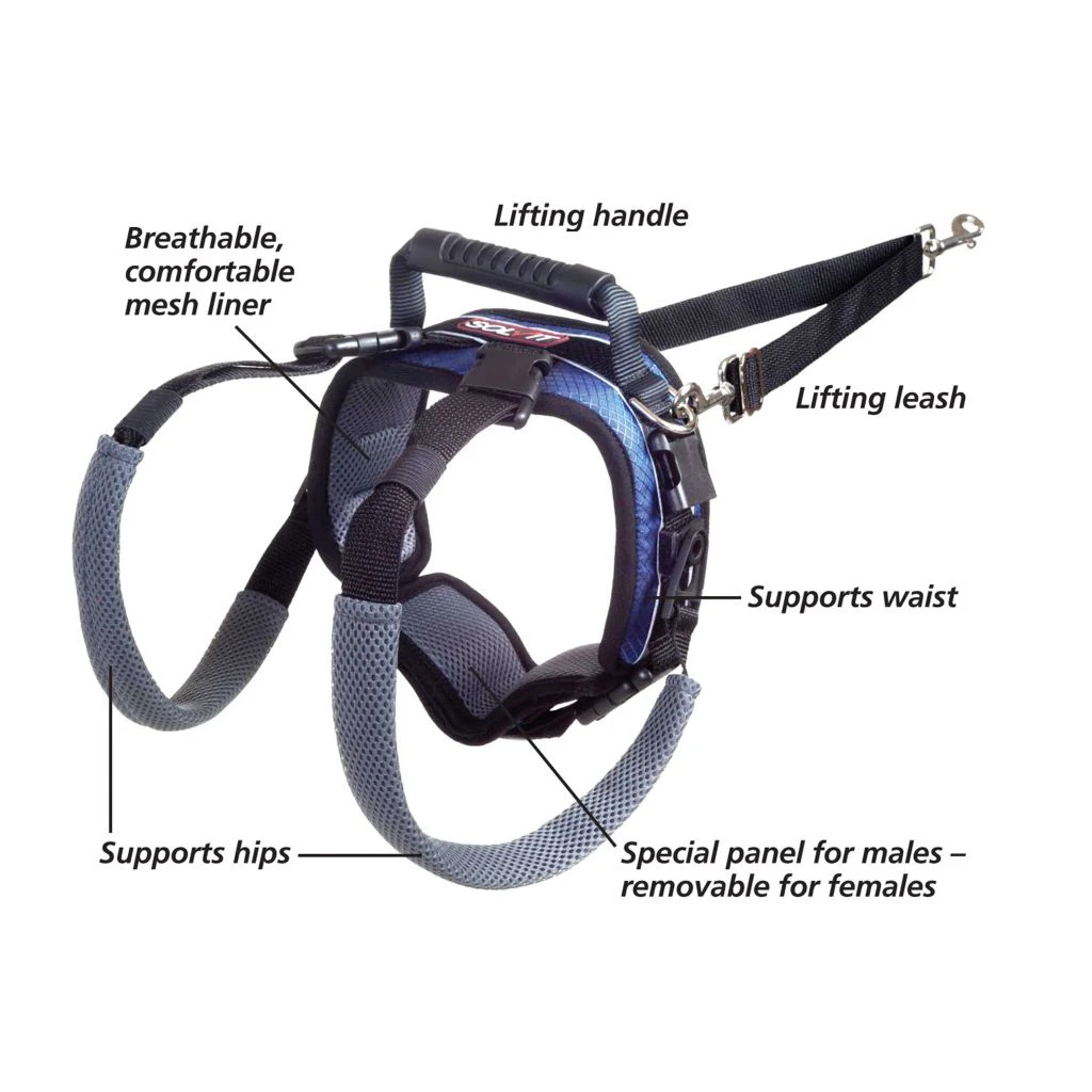 PetSafe Carelift Dog Lifting Aid Rear Only Harness - Image 4