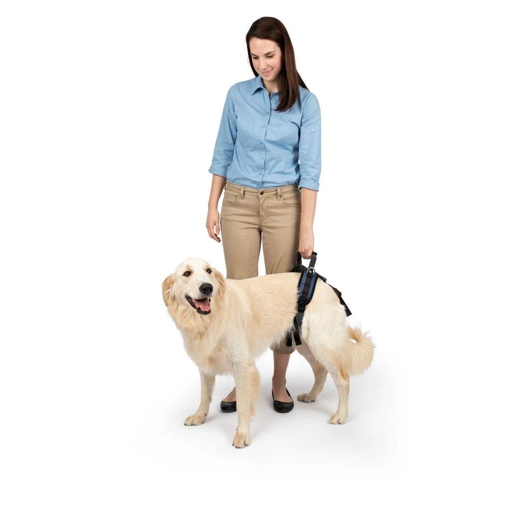PetSafe Carelift Dog Lifting Aid Rear Only Harness - Image 6