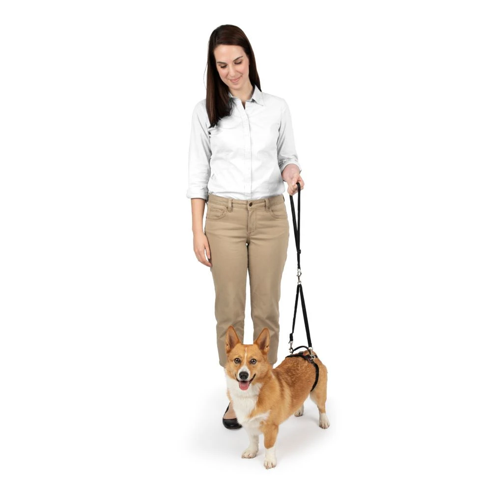 PetSafe Carelift Dog Lifting Aid Rear Only Harness - Image 7