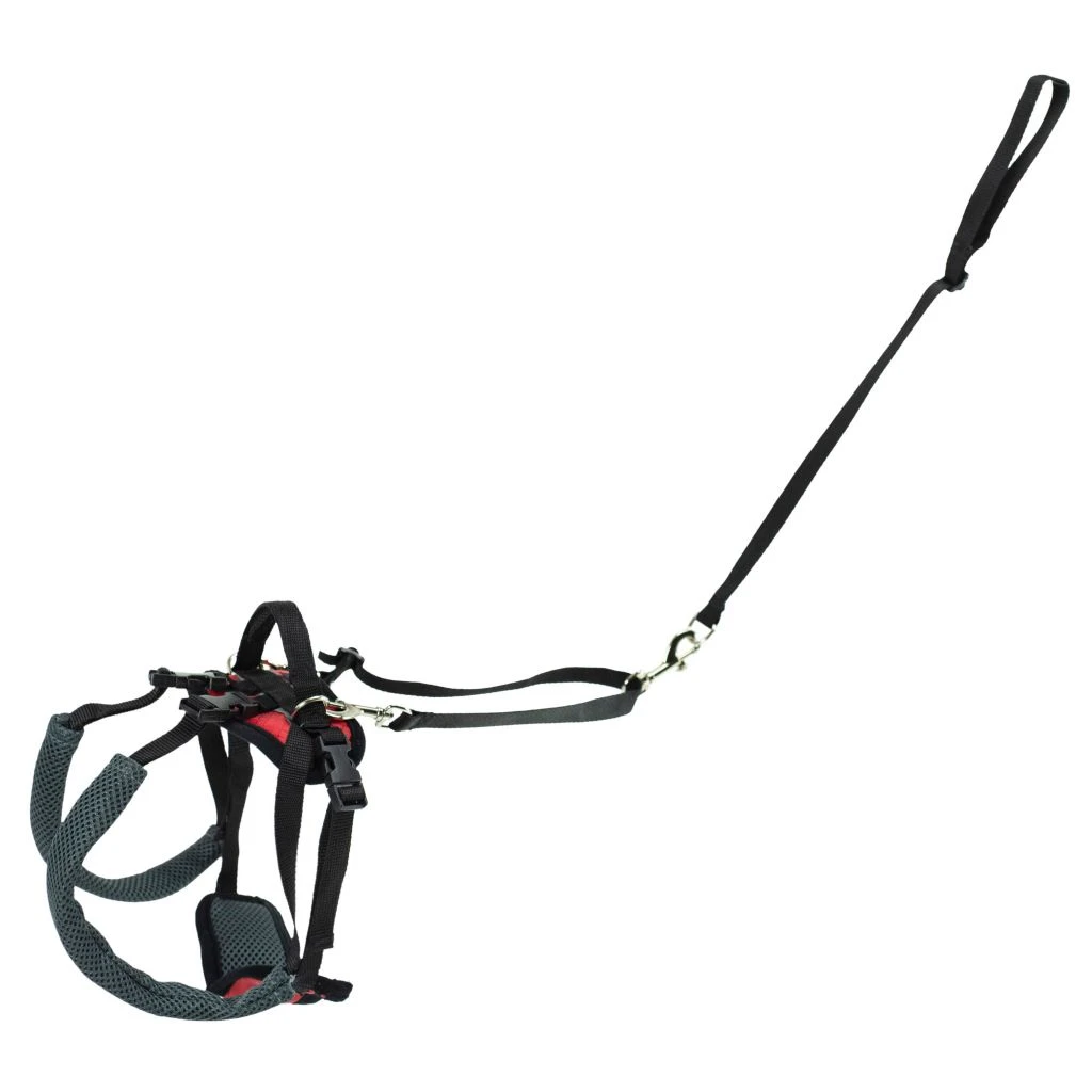 PetSafe Carelift Dog Lifting Aid Rear Only Harness - Image 9