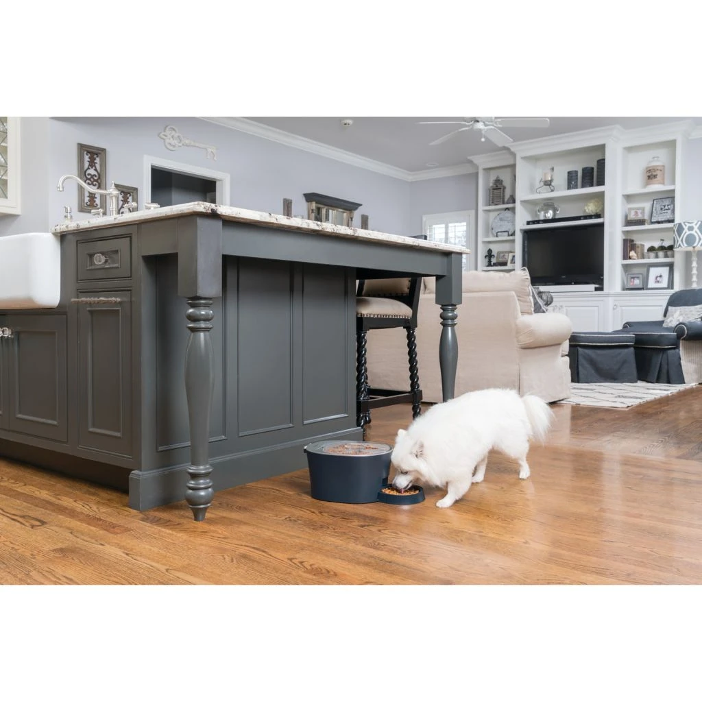 PetSafe 6 Meal Programmable Pet Food Dispenser, Automatic Dog and Cat Feeder - Dry Kibble or Semi-Moist Pet Food - Image 8