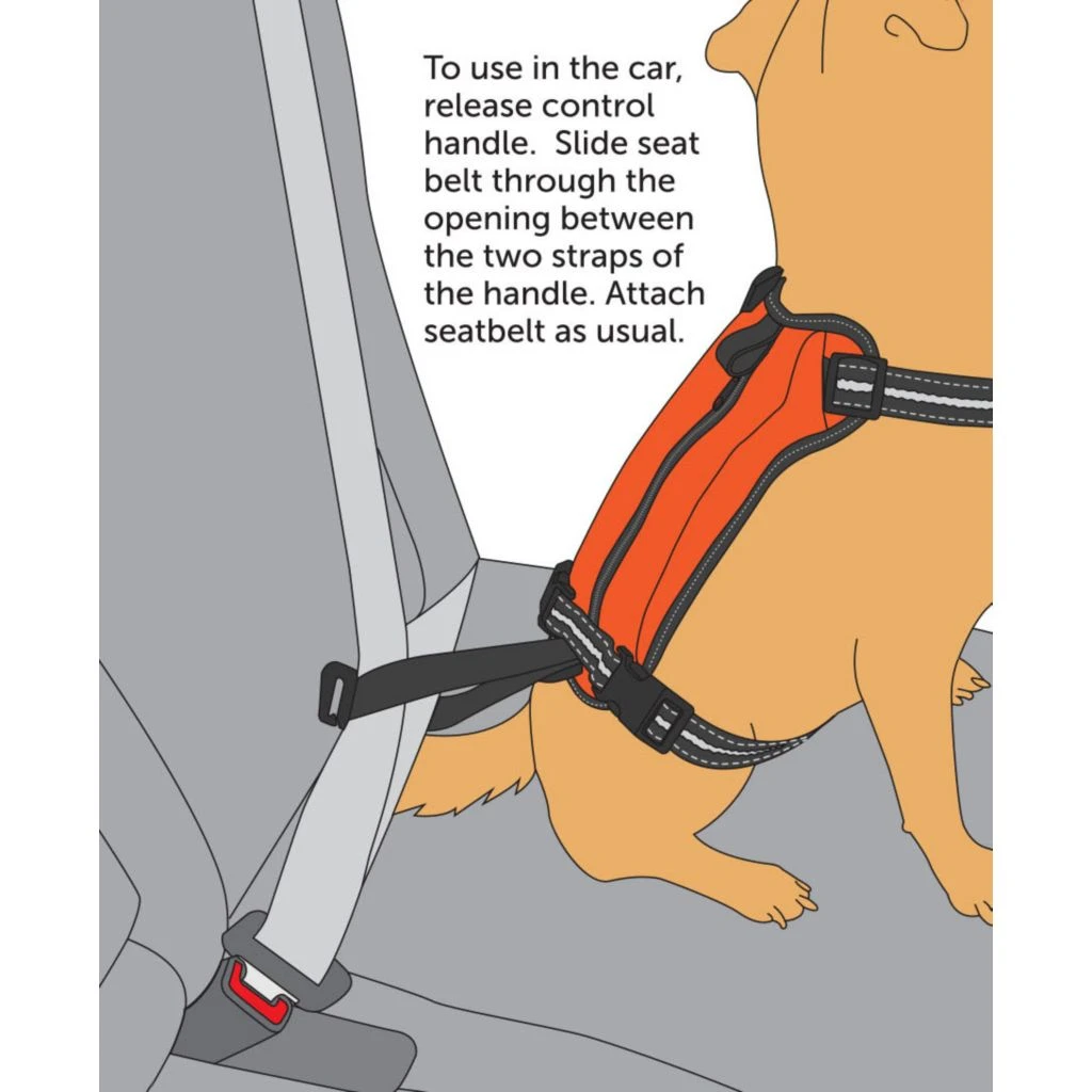 PetSafe Walk Along Reflective Outdoor Dog Harness, Large, Orange - Image 3