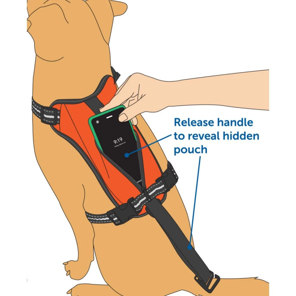 PetSafe Walk Along Reflective Outdoor Dog Harness, Large, Orange - Image 4