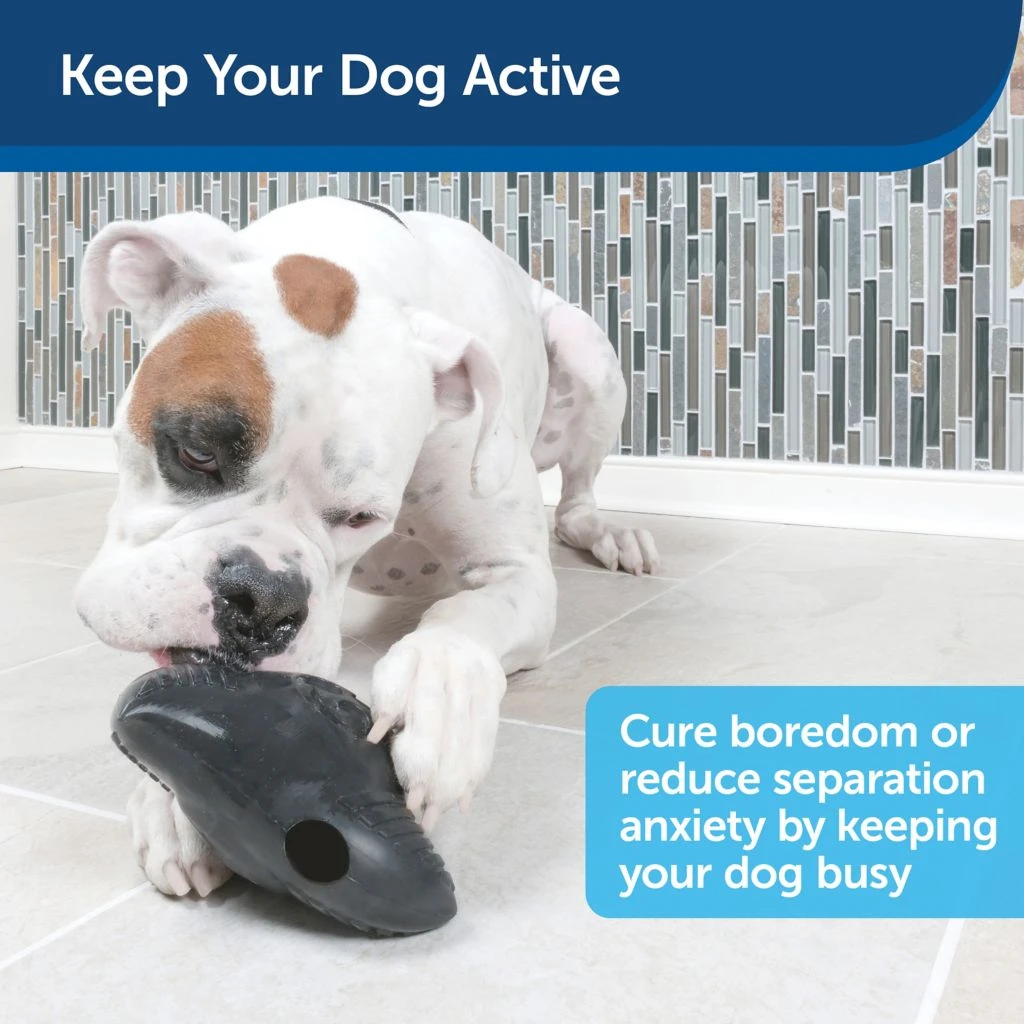 PetSafe Squeak 'N Treat Ninja Star Dog Chew Toy, Medium - Image 2