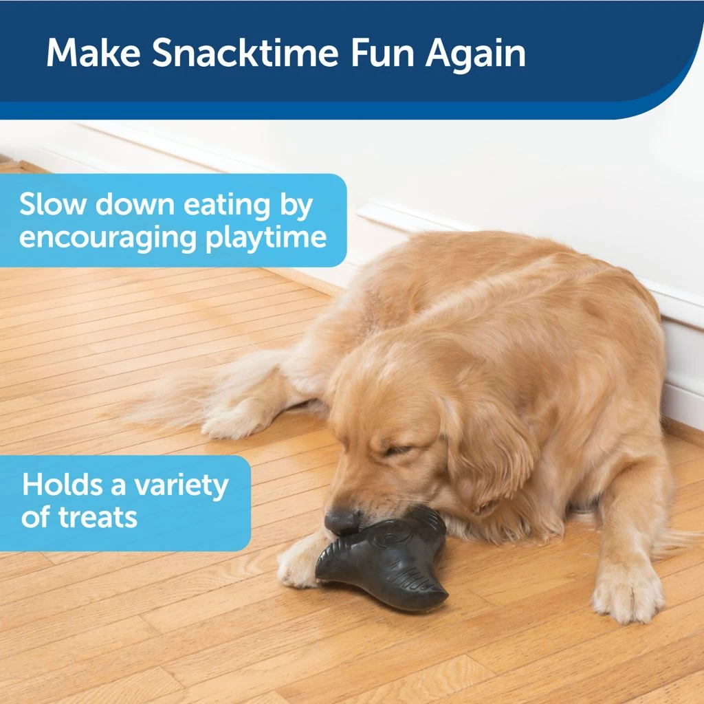 PetSafe Squeak 'N Treat Ninja Star Dog Chew Toy, Medium - Image 4