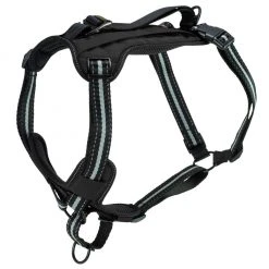 PetSafe Walk Along Reflective Outdoor Dog Harness