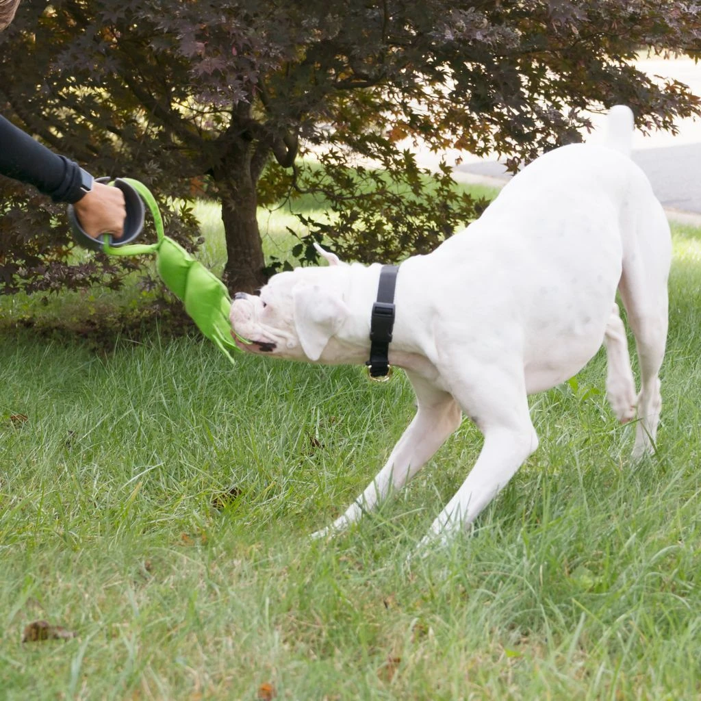 PetSafe Grip 'n' Tug Squeak Replacement Tug Dog Chew Toy - Image 2