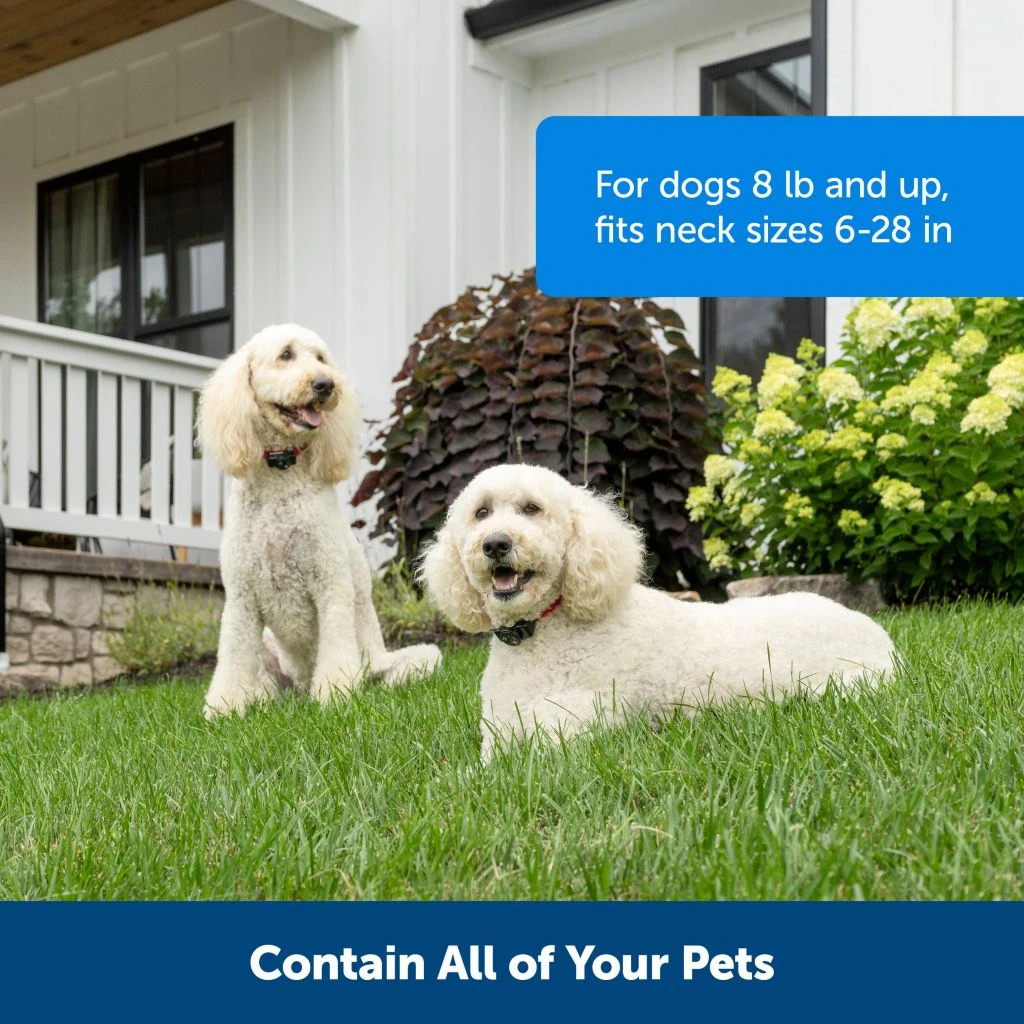 PetSafe Wireless Pet Containment System Receiver Collar - Image 4