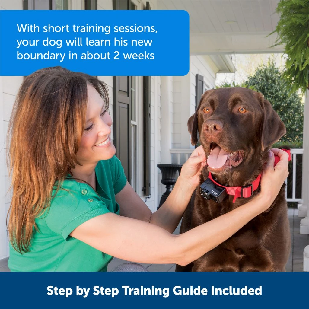 PetSafe Wireless Pet Containment System Receiver Collar - Image 5