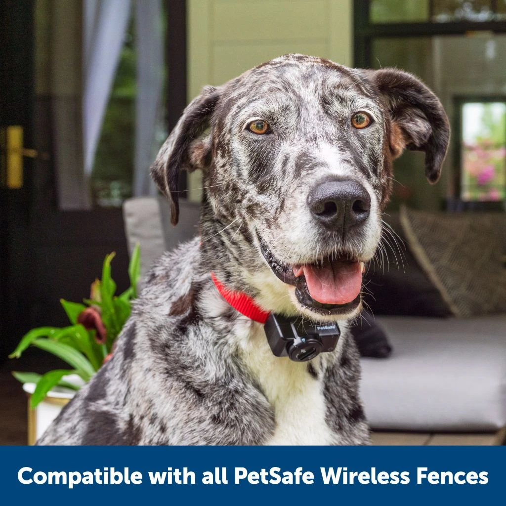 PetSafe Wireless Pet Containment System Receiver Collar - Image 7