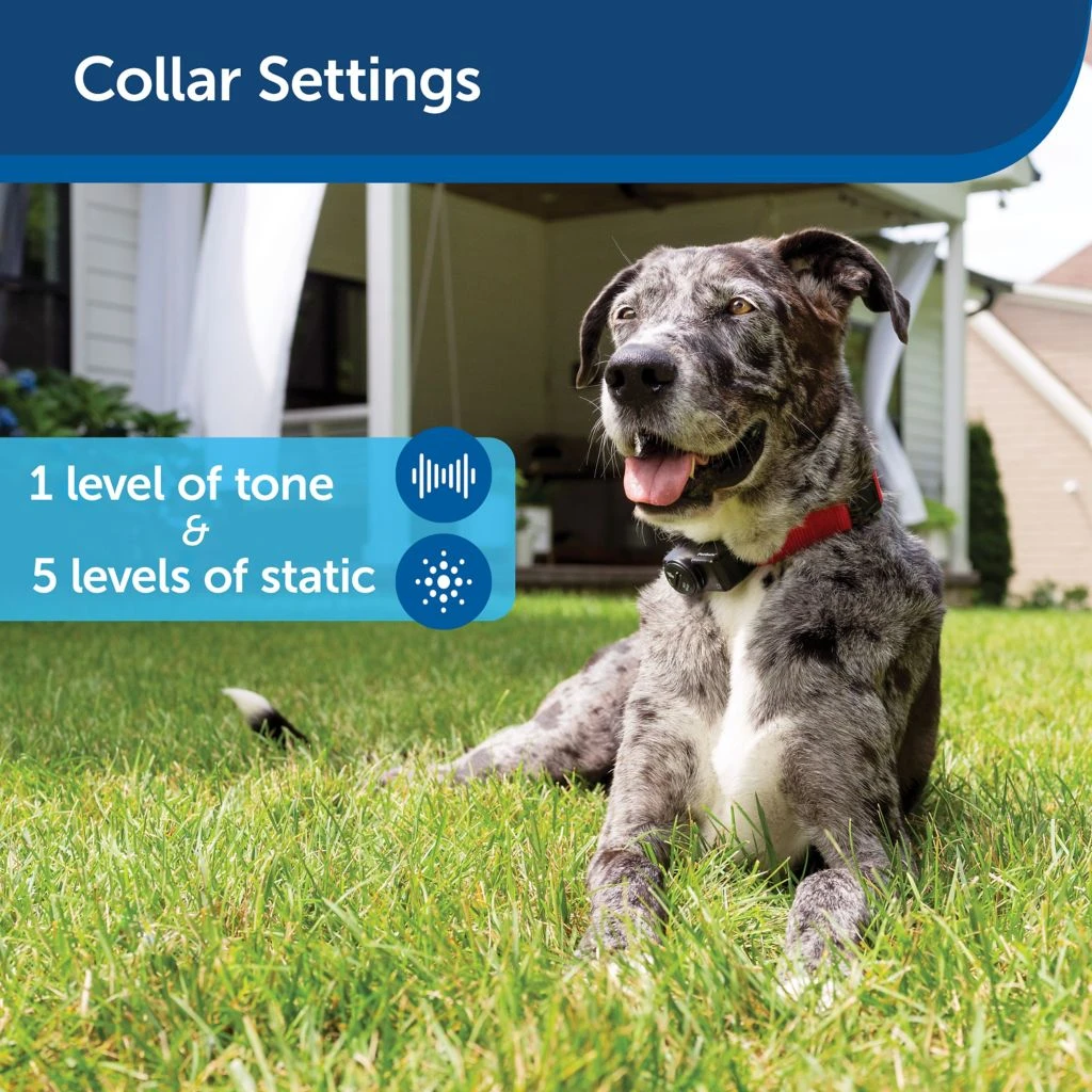 PetSafe Ultralight Receiver Collar - Image 4